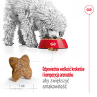 ROYAL CANIN Mini Adult karma sucha dla psów dorosłych, ras małych 4 kg